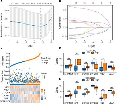 Identification and functional analysis of lactic acid metabolism-related differentially expressed genes in hepatocellular carcinoma